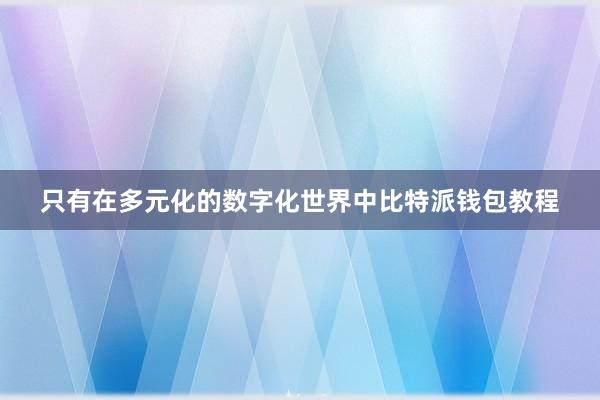 只有在多元化的数字化世界中比特派钱包教程