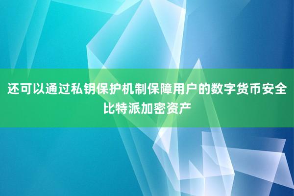 还可以通过私钥保护机制保障用户的数字货币安全比特派加密资产