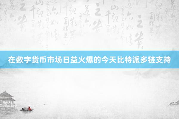 在数字货币市场日益火爆的今天比特派多链支持