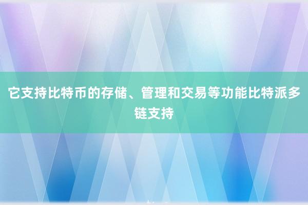 它支持比特币的存储、管理和交易等功能比特派多链支持