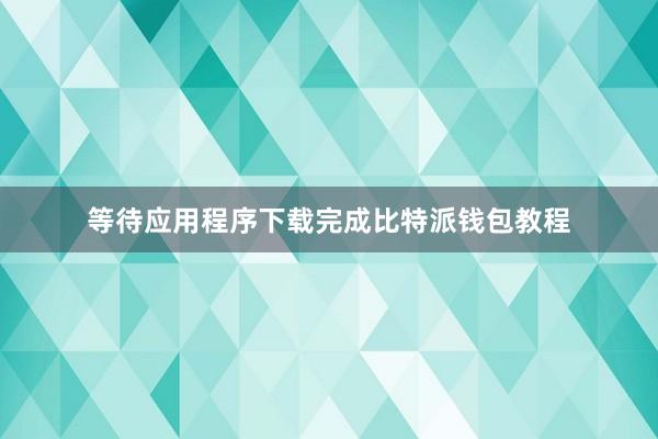 等待应用程序下载完成比特派钱包教程