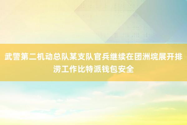 武警第二机动总队某支队官兵继续在团洲垸展开排涝工作比特派钱包安全