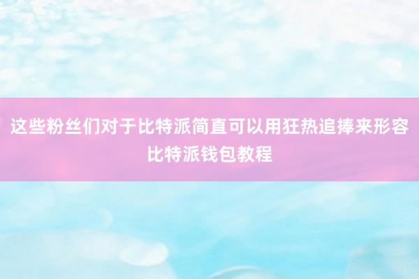 这些粉丝们对于比特派简直可以用狂热追捧来形容比特派钱包教程