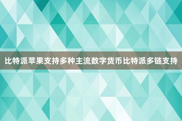 比特派苹果支持多种主流数字货币比特派多链支持