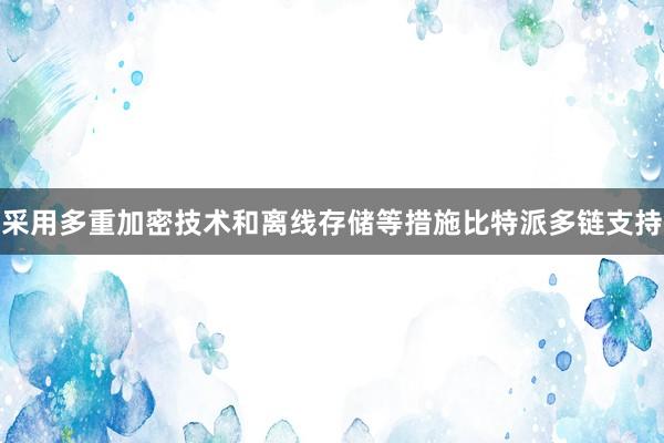 采用多重加密技术和离线存储等措施比特派多链支持