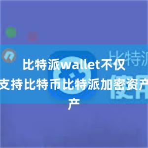 比特派wallet不仅支持比特币比特派加密资产