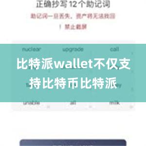 比特派wallet不仅支持比特币比特派