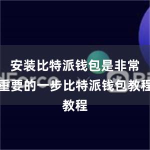 安装比特派钱包是非常重要的一步比特派钱包教程