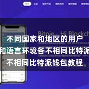 不同国家和地区的用户使用习惯和语言环境各不相同比特派钱包教程