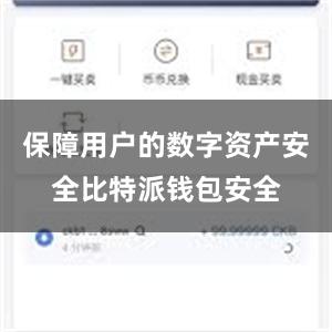 保障用户的数字资产安全比特派钱包安全