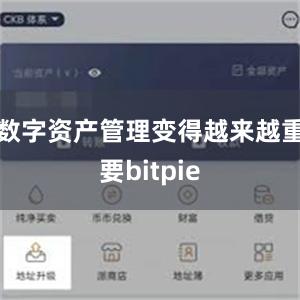 数字资产管理变得越来越重要bitpie