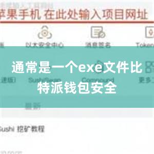 通常是一个exe文件比特派钱包安全