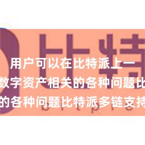 用户可以在比特派上一站式解决数字资产相关的各种问题比特派多链支持